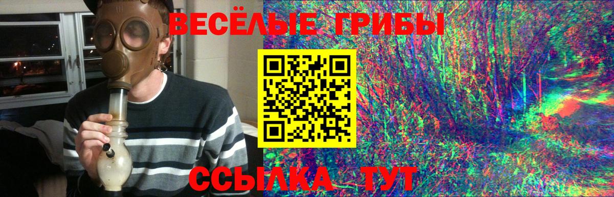 Галлюциногенные грибы Cubensis Ефремов