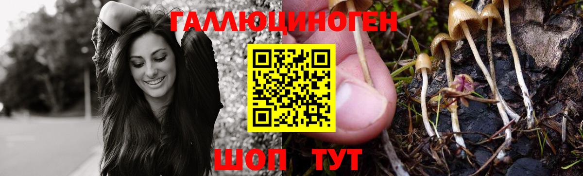 Псилоцибиновые грибы прущие грибы  Вход с VPN  Ефремов 