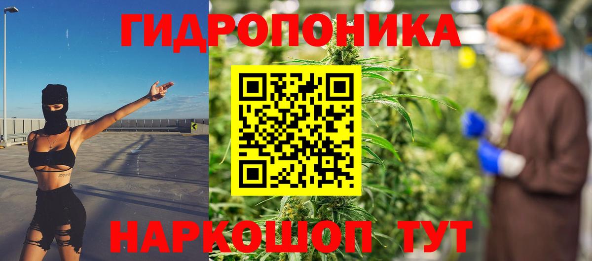 Шишки марихуана AK-47 Ефремов